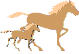 Animation