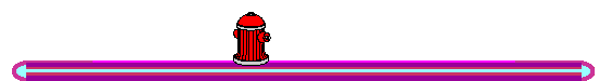 Animation