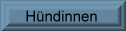 H�ndinnen
