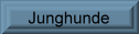 Junghunde