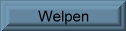 Welpen