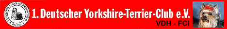 1.DYC - 1. Deutscher Yorkshire-Terrier-Club